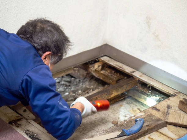 Crawl Space Mold Removal in Garfield, NJ