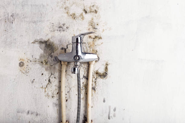 Best Mold Testing  in Garfield, NJ