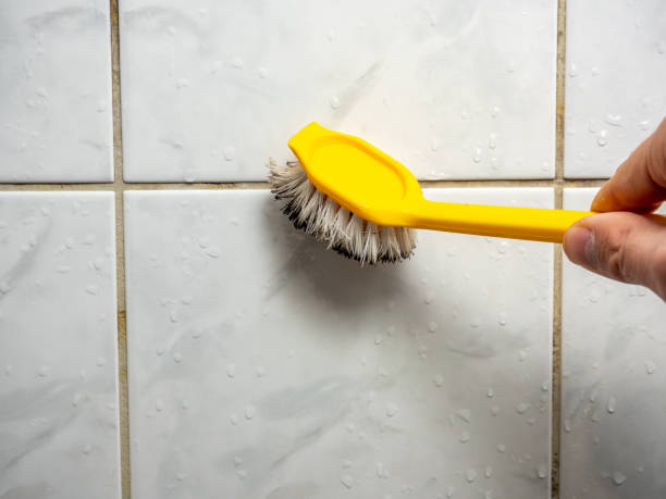 Best Same-Day Mold Removal  in Garfield, NJ