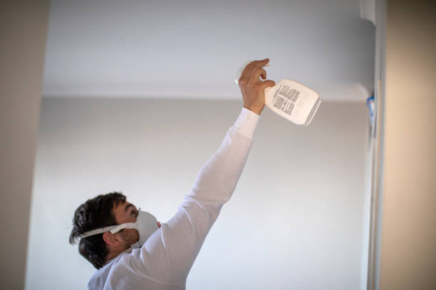 Best Mold Remediation  in Garfield, NJ
