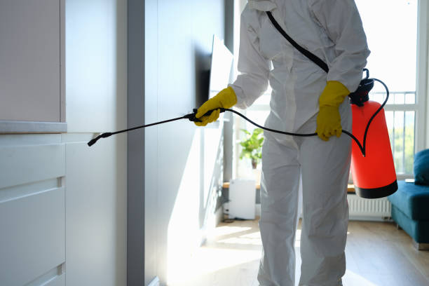 Best Commercial Mold Removal  in Garfield, NJ