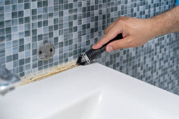 Best Mold Testing and Removal  in Garfield, NJ