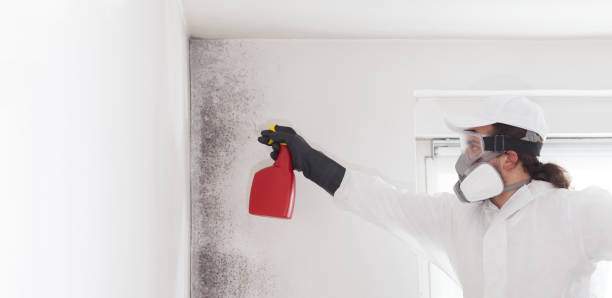 Best Mold Testing  in Garfield, NJ