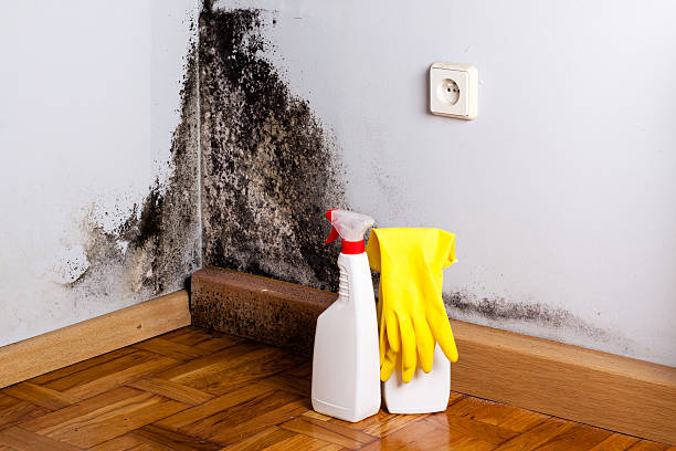 Best Crawl Space Mold Removal  in Garfield, NJ